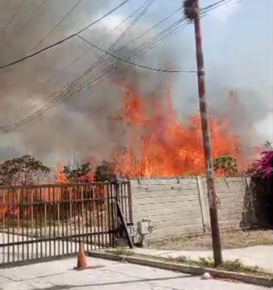 incendio forestal