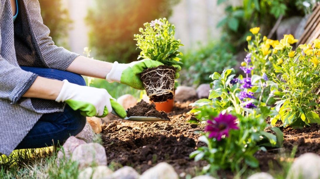 Conoce los beneficios de la jardinería para la salud
