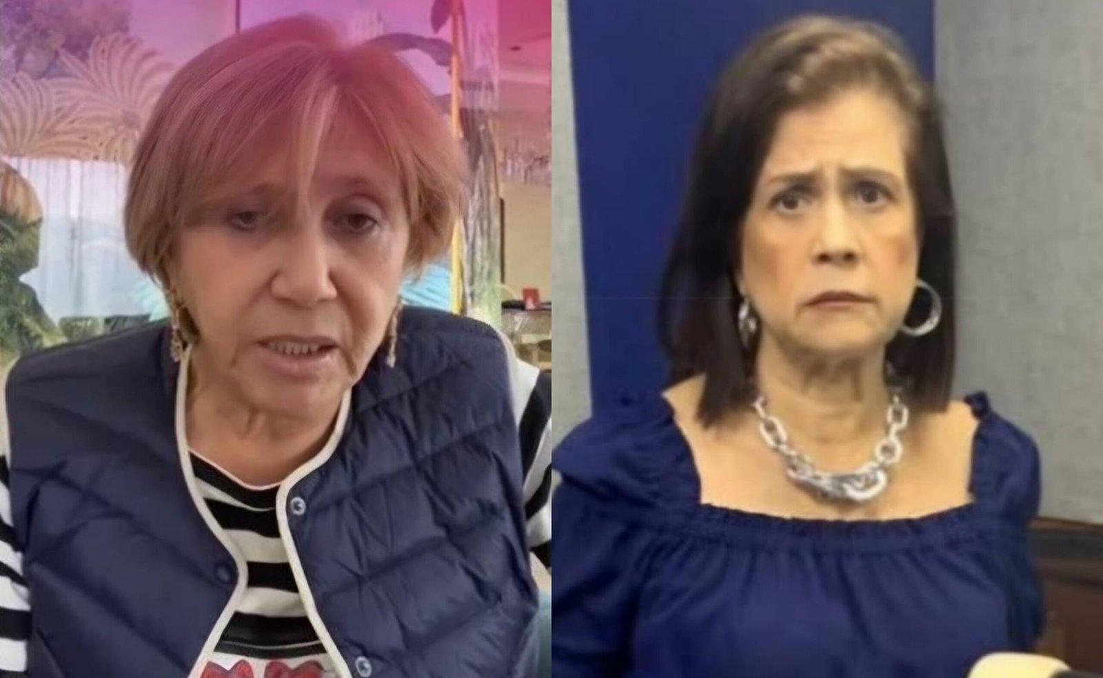 Orden de aprehensión contra charito Rojas y Gladys Valentiner