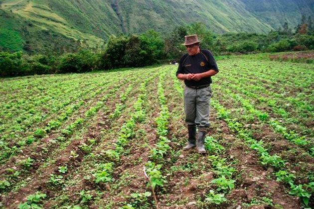Productores de Carabobo