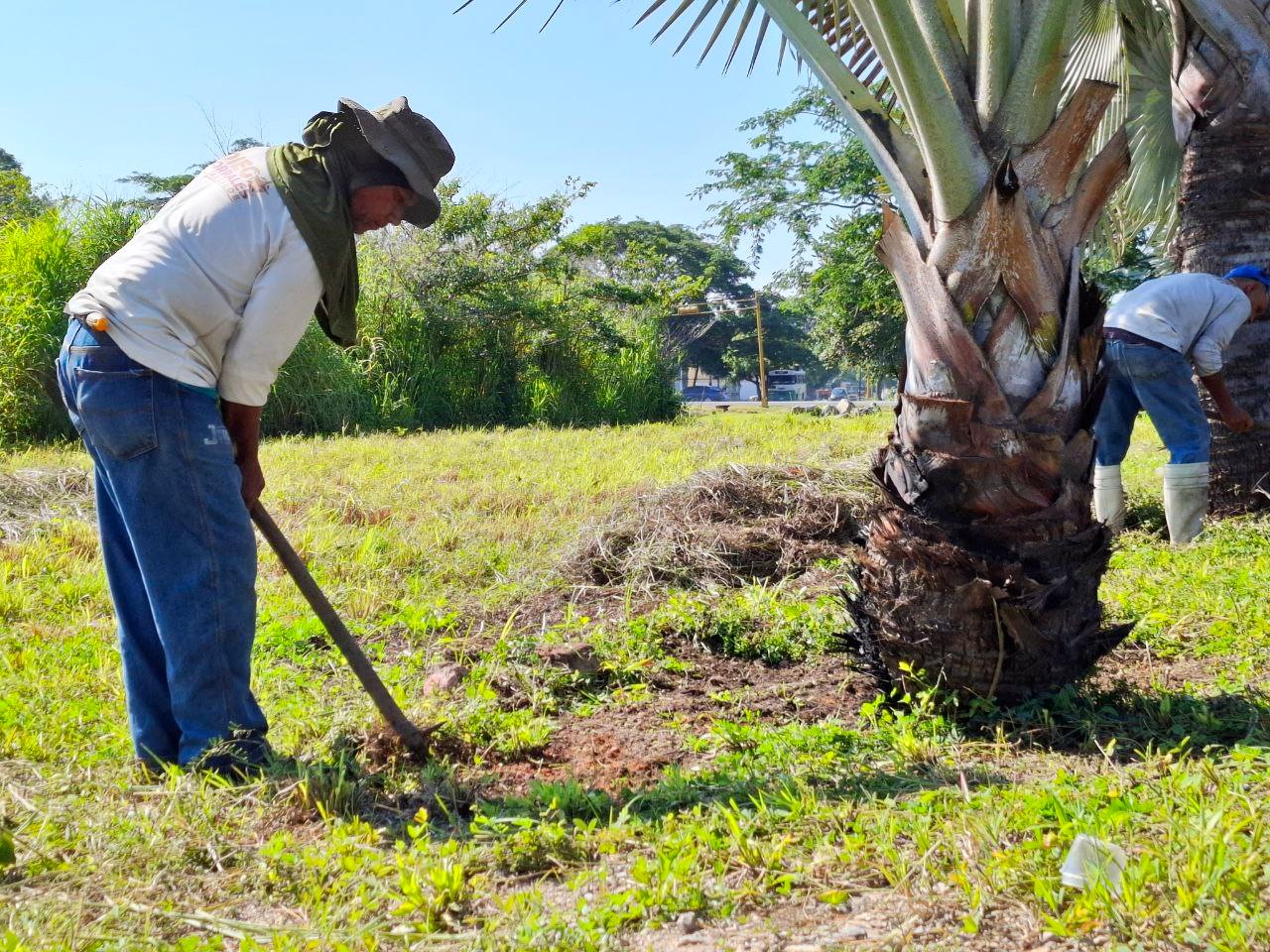 Imec desmalezó más 198 mil metros cuadrados en San Joaquín