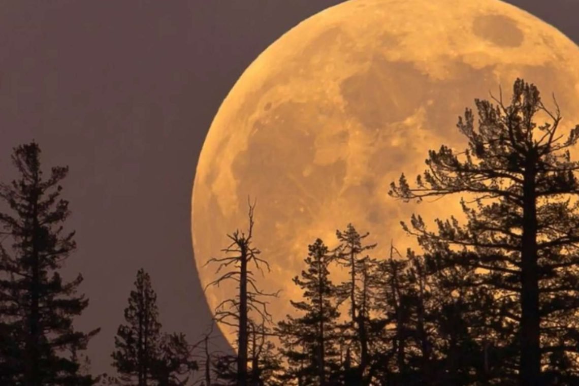 Penúltima Superluna del Cazador del año ¿Cuándo se podrá ver?