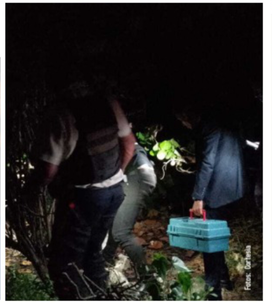 Encuentran cráneo humano en La Cumboteña de Puerto Cabello