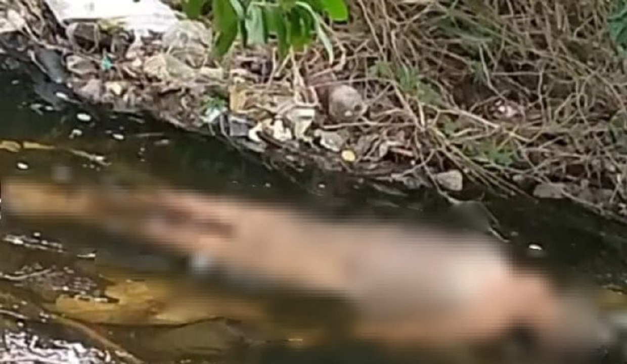 En una canal: Sin ropa y degollada es encontrada mujer en Aragua