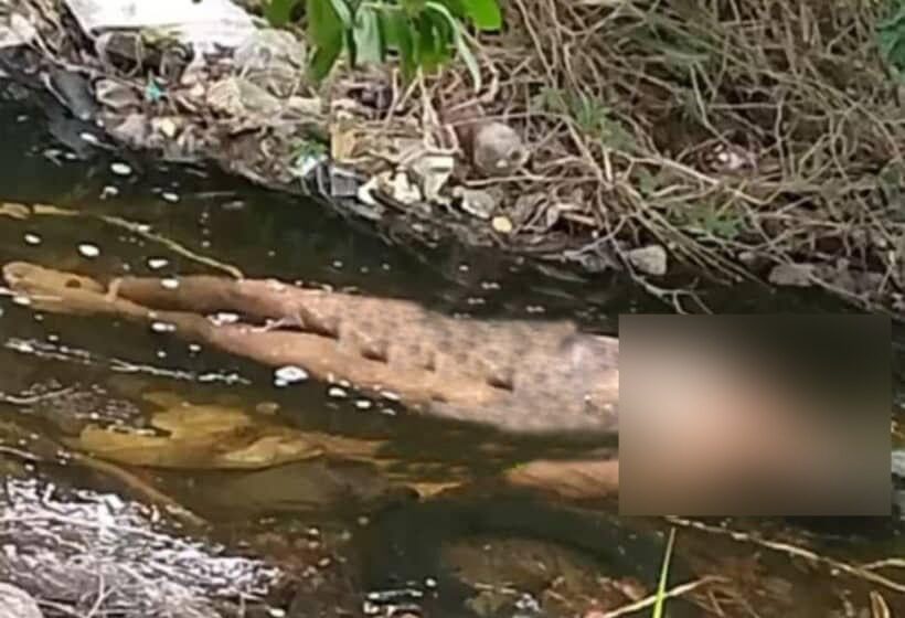 Identifican cadáver de la joven muerta en una canal en Aragua