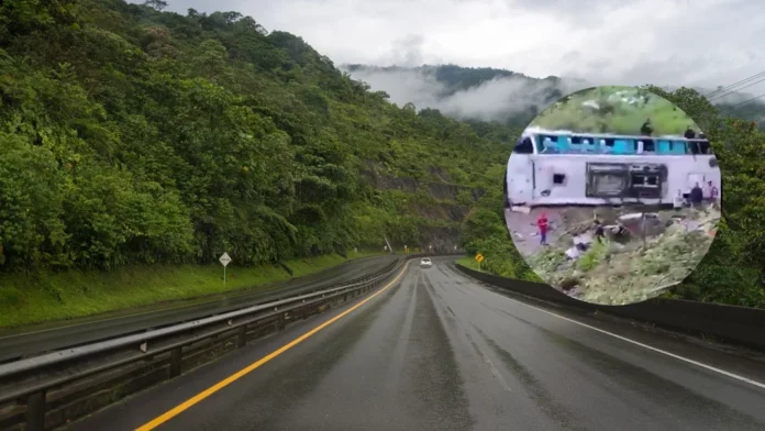 Tragedia en Colombia: un bus de servicio público cayó por un abismo y dejó varios fallecidos