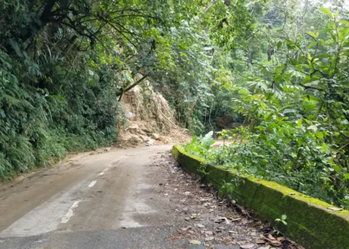 Cadáver de septuagenario se encontró en la carretera de Choroní