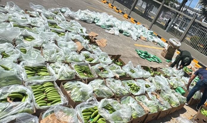 Mil 600 kilos de cocaína