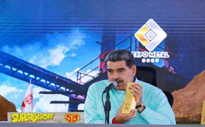 Nuevo modelo económico