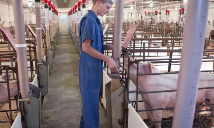 Florida evalúa flexibilizar