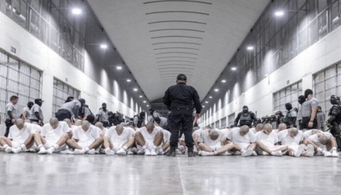 Detienen deportación ilegal