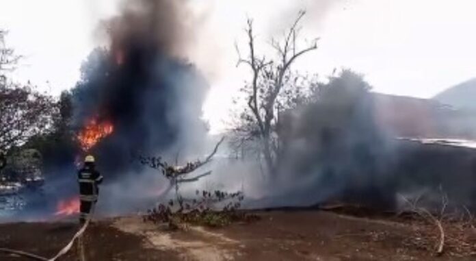Incendio de vegetación