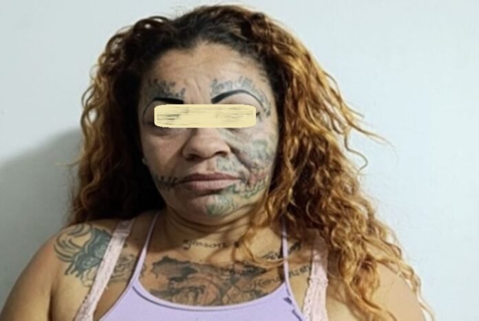 Aprehenden a una “guara” solicitada