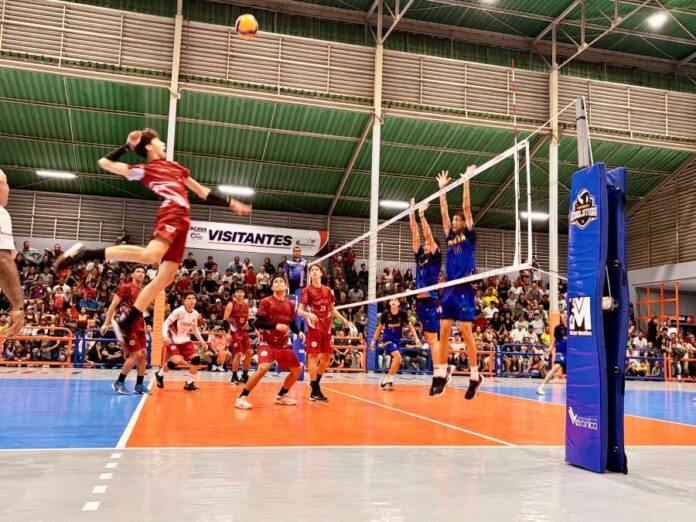 Voleibol masculino U19